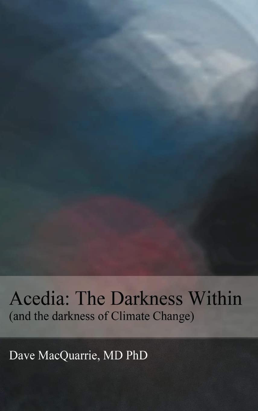 Acedia: The Darkness Within